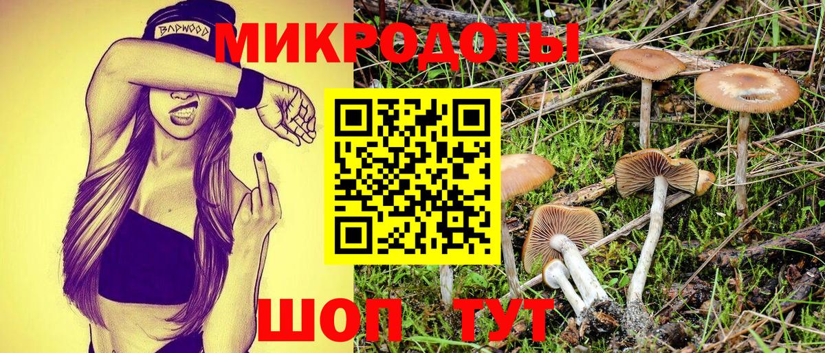 Псилоцибиновые грибы MAGIC MUSHROOMS  Галлюциногенные грибы Psilocybine cubensis  Тавда  Вход с VPN 