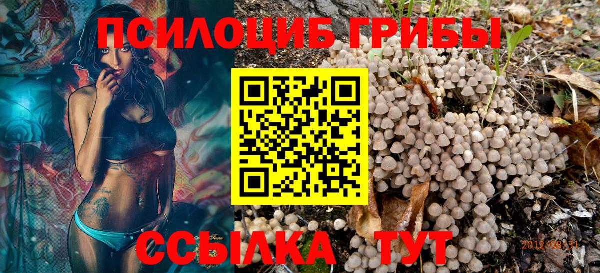 Псилоцибиновые грибы прущие грибы Тавда